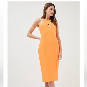 UEC Gorgeous Karen Millen dress